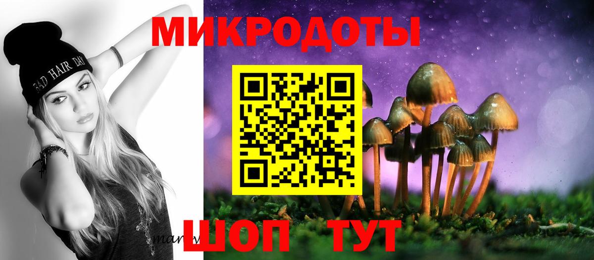 Псилоцибиновые грибы Psilocybine cubensis  Галлюциногенные грибы прущие грибы  Аша  Вход с VPN 