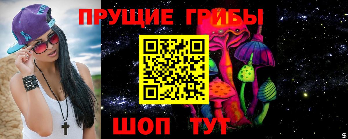 Галлюциногенные грибы Psilocybe Аша